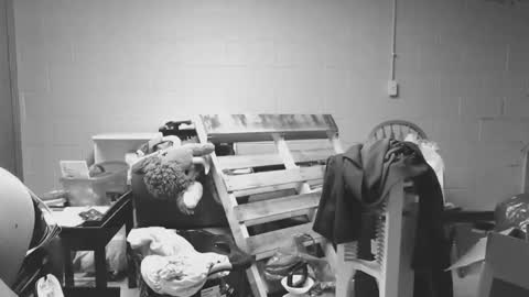 sexyshavenboi online show from 17, 1, 2026