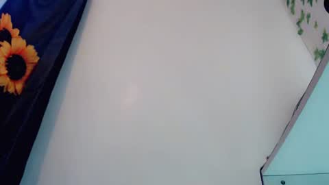 Snapshot of sexyshinixx chatting on 3, 10, 2025 sexyshinixx online show from 3, 10, 2025