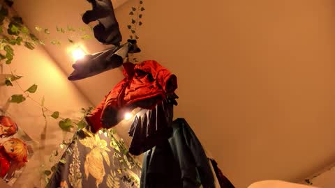 shadow_raffi online show from 7, 11, 2025