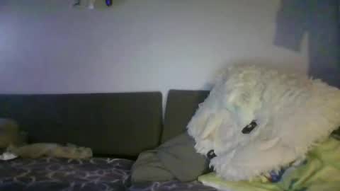 Snapshot of shafte1981 chatting on 2, 6, 2026 shafte1981 online show from 2, 6, 2026
