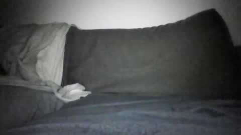 Shorty online show from 17, 12, 2025