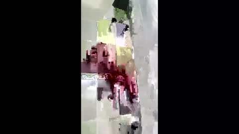 shanelle7 online show from 17, 1, 2026