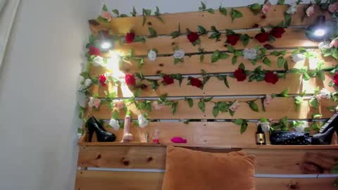 Sharol online show from 1, 3, 2025