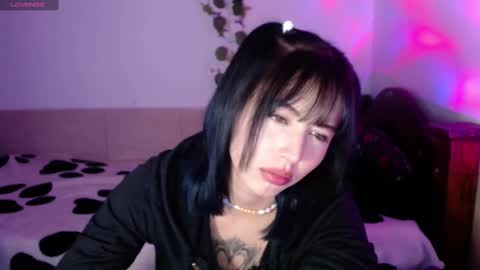 Shayla 3 online show from 6, 10, 2025