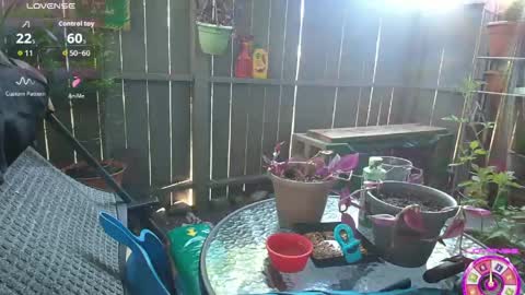 sheilyn_smith online show from 2, 6, 2026