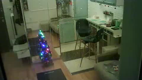 shirogane2004 online show from 10, 1, 2026