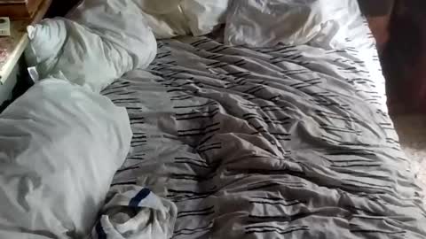 tomuchfunn online show from 3, 4, 2026