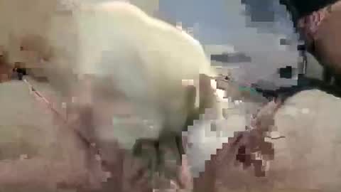 Snapshot of showsme chatting on 28, 10, 2025 showsme online show from 28, 10, 2025