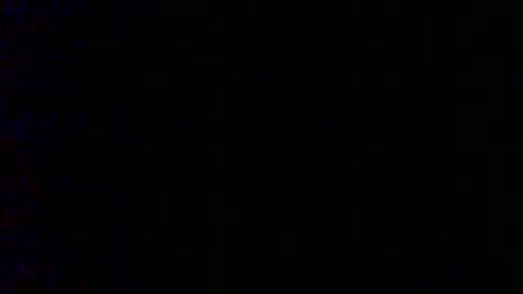 Bambi online show from 6, 2, 2025