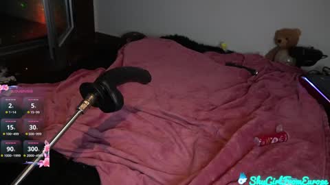 Snapshot of shygirlfromeurope chatting on 31, 1, 2025 Vivian online show from 31, 1, 2025