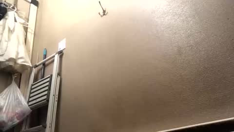 shyguy2021420 online show from 22, 2, 2026