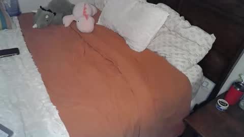 shypetitebaby online show from 12, 3, 2026