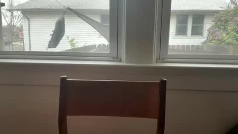 sie273 online show from 11, 4, 2026