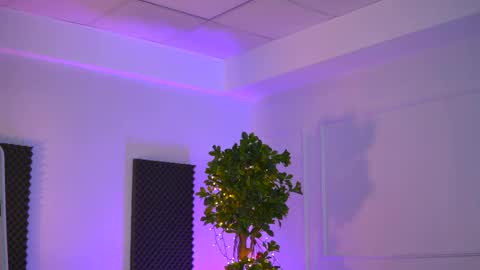 Sienna online show from 28, 2, 2026