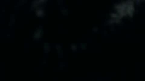 Silkey online show from 10, 12, 2024