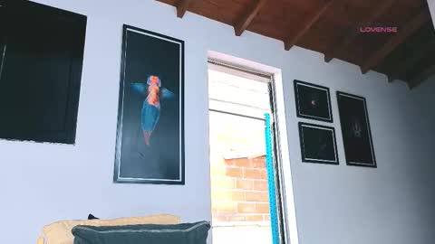 silvabranko online show from 6, 3, 2026