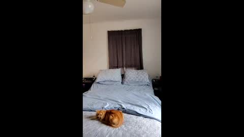 Snapshot of simplysarah1225 chatting on 17, 2, 2026 simplysarah1225 online show from 17, 2, 2026