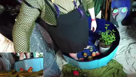 Sinstress hemlock online show from 27, 4, 2026