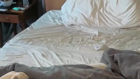 Snapshot of sissydensib chatting on 18, 4, 2026 Sissy Submissive online show from 18, 4, 2026