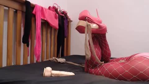 Lotty online show from 26, 11, 2025