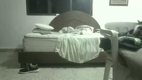 skanky_little_dolls online show from 27, 11, 2025