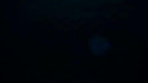 Snapshot of skarletsexy chatting on 8, 10, 2025 Skarlet online show from 8, 10, 2025