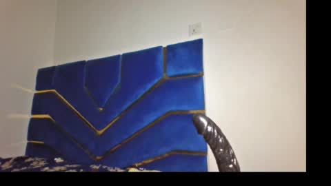 skinnyasssexyboobs online show from 29, 3, 2026