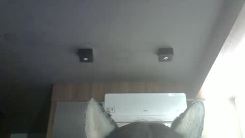 skinnykittencam online show from 14, 3, 2026