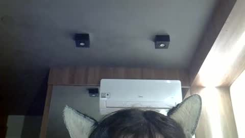 Snapshot of skinnykittencam chatting on 3, 5, 2026 skinnykittencam online show from 3, 5, 2026