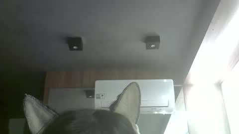 Snapshot of skinnykittencam chatting on 10, 5, 2026 skinnykittencam online show from 10, 5, 2026