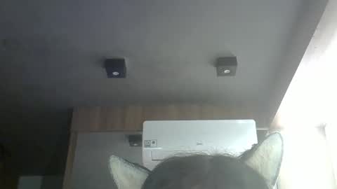 Snapshot of skinnykittencam chatting on 16, 5, 2026 skinnykittencam online show from 16, 5, 2026