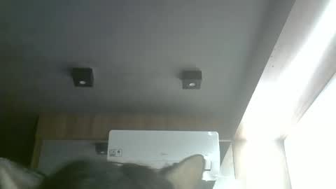 Snapshot of skinnykittencam chatting on 17, 5, 2026 skinnykittencam online show from 17, 5, 2026