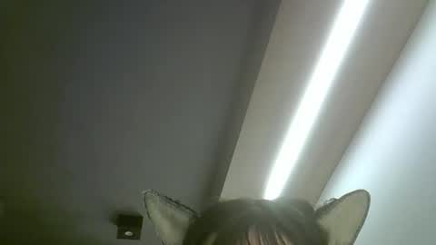 Snapshot of skinnykittencam chatting on 19, 5, 2026 skinnykittencam online show from 19, 5, 2026