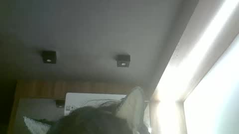 Snapshot of skinnykittencam chatting on 20, 5, 2026 skinnykittencam online show from 20, 5, 2026