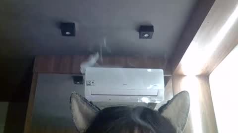 Snapshot of skinnykittencam chatting on 20, 5, 2026 skinnykittencam online show from 20, 5, 2026