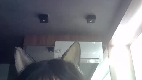 Snapshot of skinnykittencam chatting on 21, 5, 2026 skinnykittencam online show from 21, 5, 2026