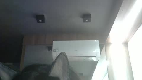 Snapshot of skinnykittencam chatting on 24, 5, 2026 skinnykittencam online show from 24, 5, 2026
