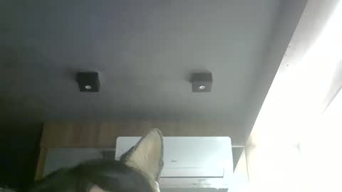 Snapshot of skinnykittencam chatting on 28, 5, 2026 skinnykittencam online show from 28, 5, 2026