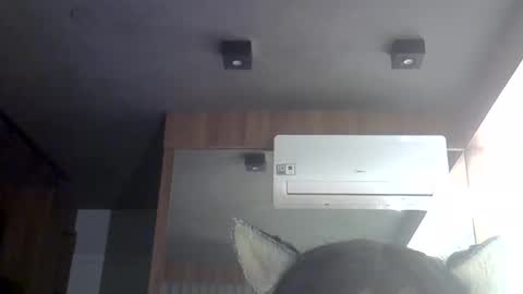 Snapshot of skinnykittencam chatting on 30, 5, 2026 skinnykittencam online show from 30, 5, 2026
