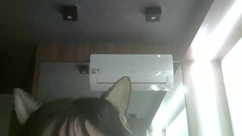 Snapshot of skinnykittencam chatting on 3, 6, 2026 skinnykittencam online show from 3, 6, 2026