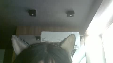 Snapshot of skinnykittencam chatting on 5, 6, 2026 skinnykittencam online show from 5, 6, 2026