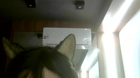 Snapshot of skinnykittencam chatting on 7, 6, 2026 skinnykittencam online show from 7, 6, 2026