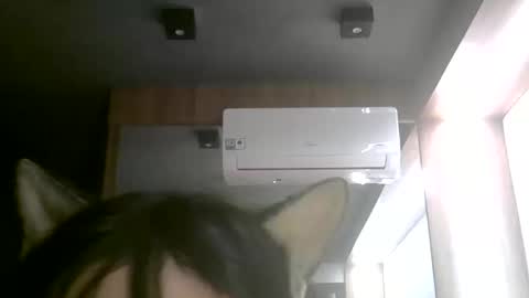 Snapshot of skinnykittencam chatting on 11, 6, 2026 skinnykittencam online show from 11, 6, 2026