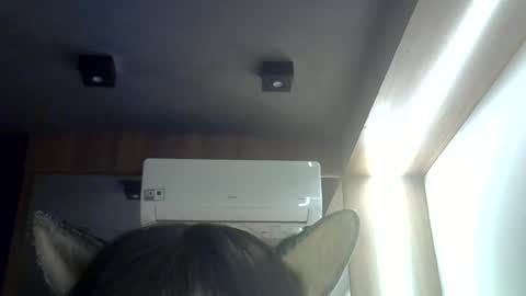Snapshot of skinnykittencam chatting on 16, 6, 2026 skinnykittencam online show from 16, 6, 2026