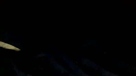 Snapshot of skinnypole6 chatting on 4, 12, 2024 skinnypole6 online show from 4, 12, 2024