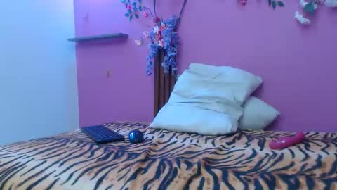 sofia online show from 12, 2, 2026