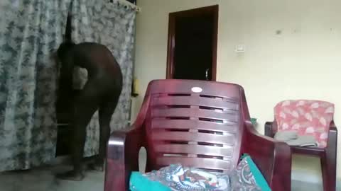 Indianslut1431 online show from 9, 4, 2026