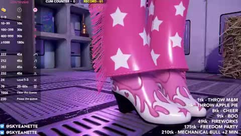 Snapshot of skyeanette chatting on 3, 7, 2026 SkyeAnette online show from 3, 7, 2026