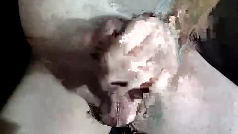 Z online show from 2, 12, 2025