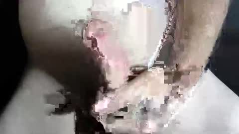 Z online show from 5, 1, 2026